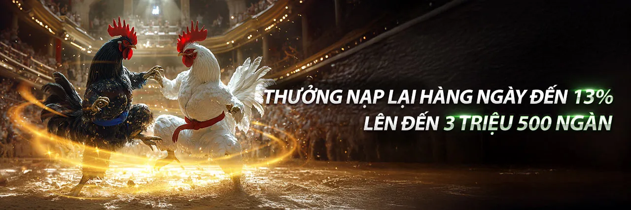 Tổng quan về các ưu đãi mới nhất tại r365 trang chủ chính thức